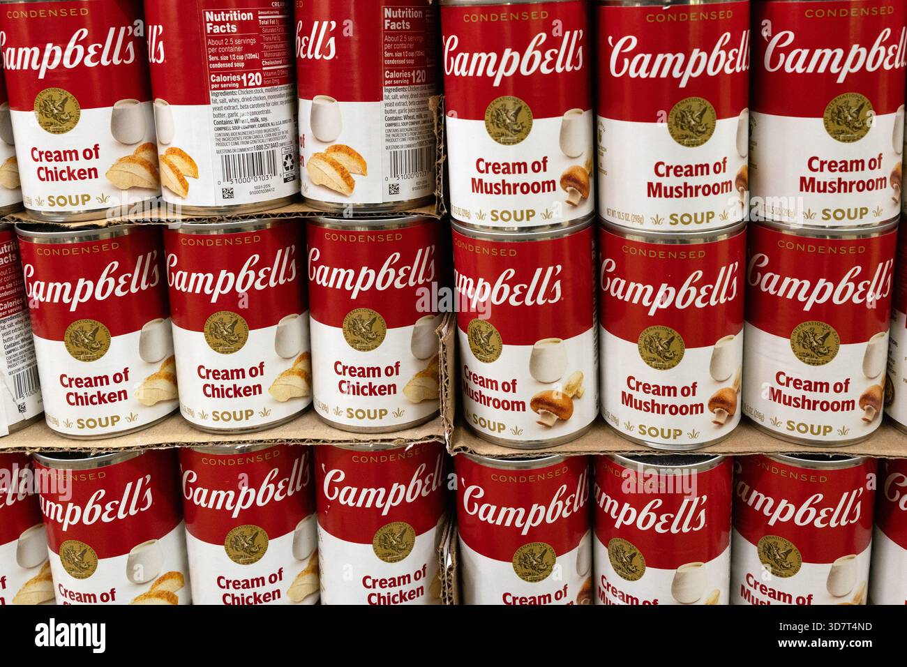 Soupe Campbell's Cream de poulet et de champignons sur l'étagère de l'épicerie Banque D'Images