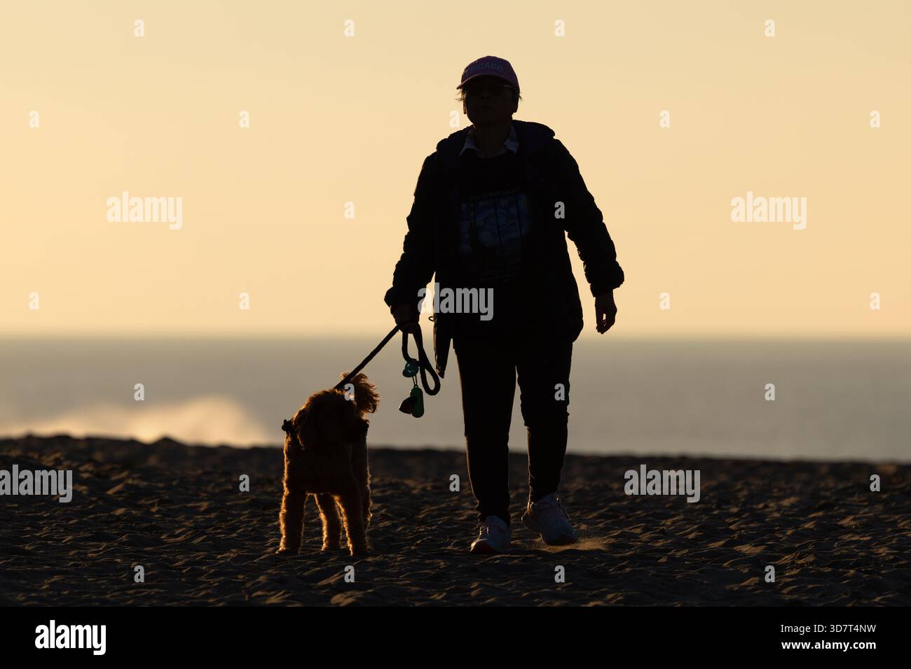 Silhouette d'une femme promenant son chien sur Ocean Beach San Francisco au coucher du soleil Banque D'Images