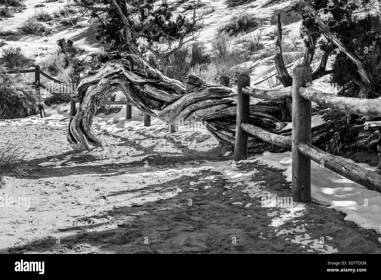 Vue colorée sur le parc national d'Arches, Utah, avec ses arches de grès rouge emblématiques et ses formations rocheuses spectaculaires. Banque D'Images