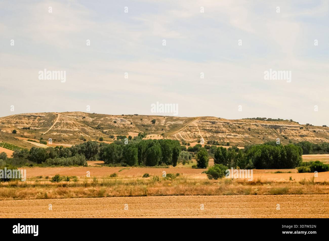 Colline en arrière-plan d'un paysage avec des terres agricoles et des arbres en été. Banque D'Images