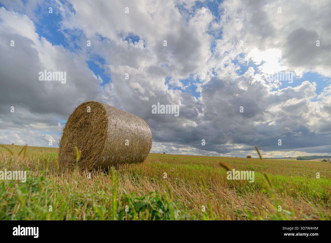 Une balle de foin solitaire repose gracieusement au milieu des vastes champs luxuriants et des nuages spectaculaires, incarnant la tranquillité rurale Banque D'Images
