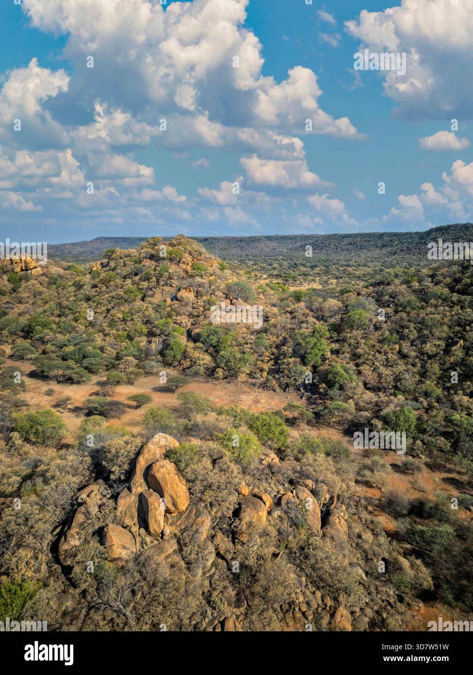 Vue aérienne, collines du paysage africain au Botswana, terrain rocheux et arbres d'acacia Banque D'Images