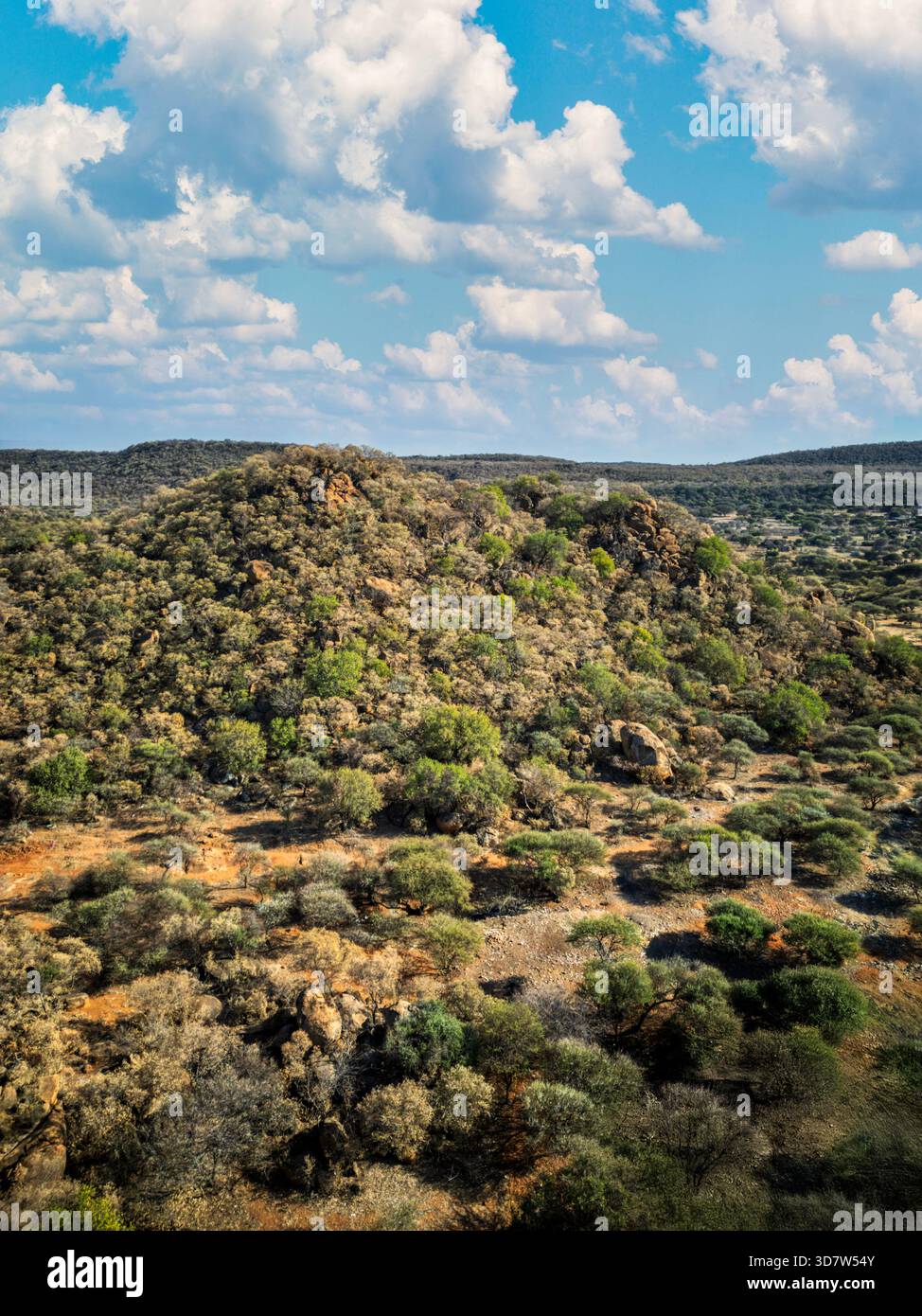 Vue aérienne, collines du paysage africain au Botswana, terrain rocheux et arbres d'acacia Banque D'Images