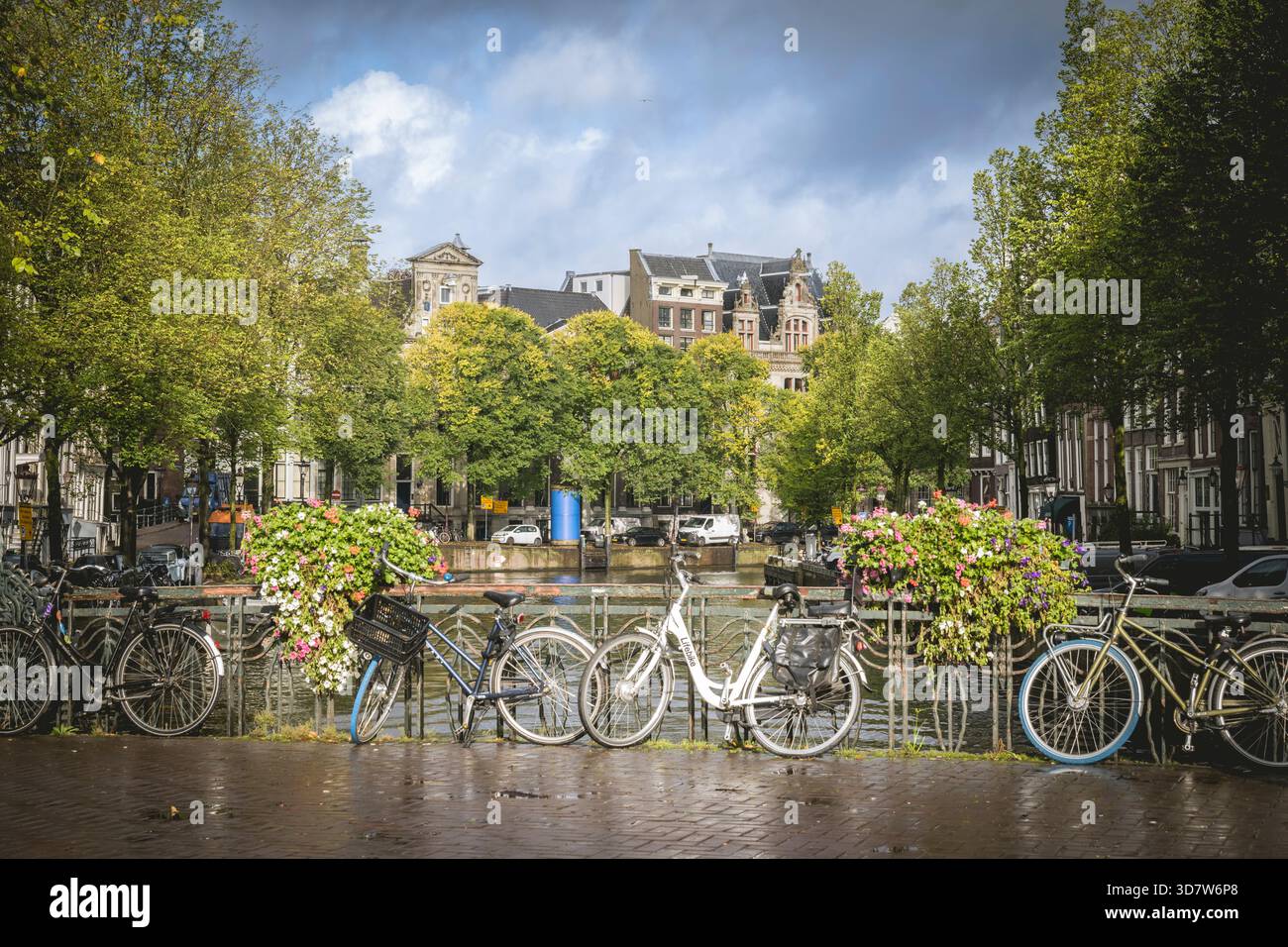 Des vélos alignés le long d'un canal dans une ville européenne pittoresque avec une végétation luxuriante et des bâtiments historiques. Amsterdam, pays-Bas Banque D'Images