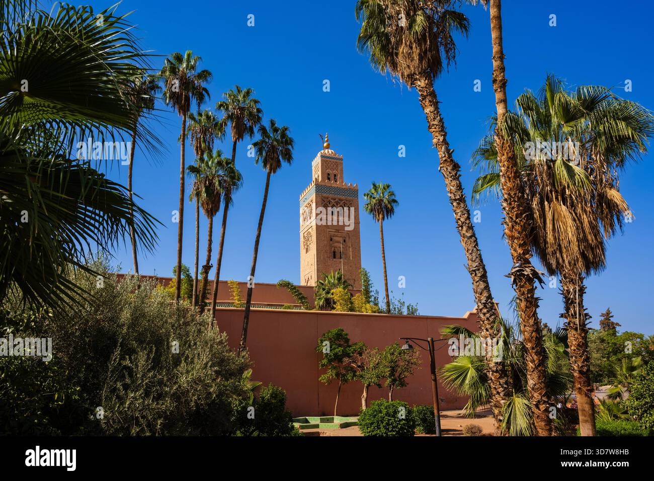 De grands palmiers et une tour historique contre un ciel bleu clair dans un paysage ensoleillé. Marrakech, Maroc Banque D'Images