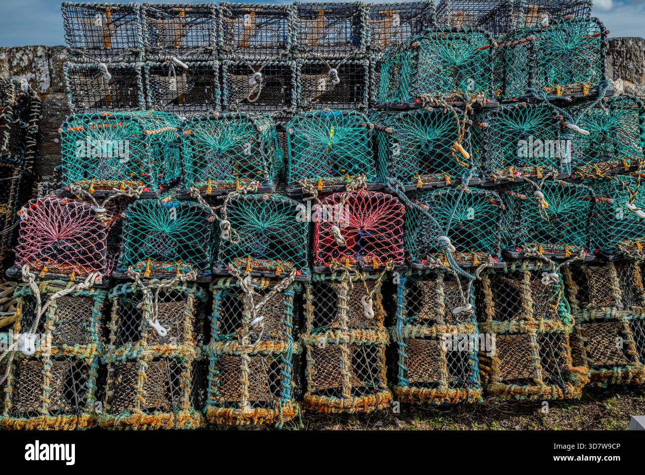 Pièges à homard multicolores empilés avec filets empilés contre un mur de pierre. Port de Keiss, Écosse Banque D'Images
