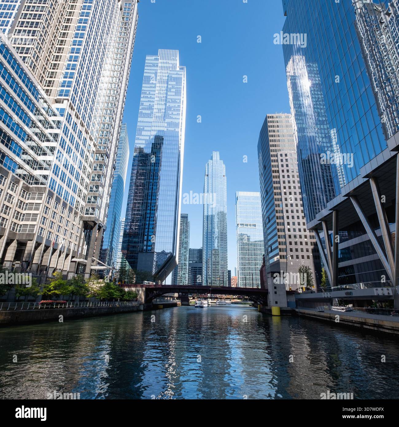 Le fleuve Chicago et les gratte-ciel du quartier des affaires Banque D'Images