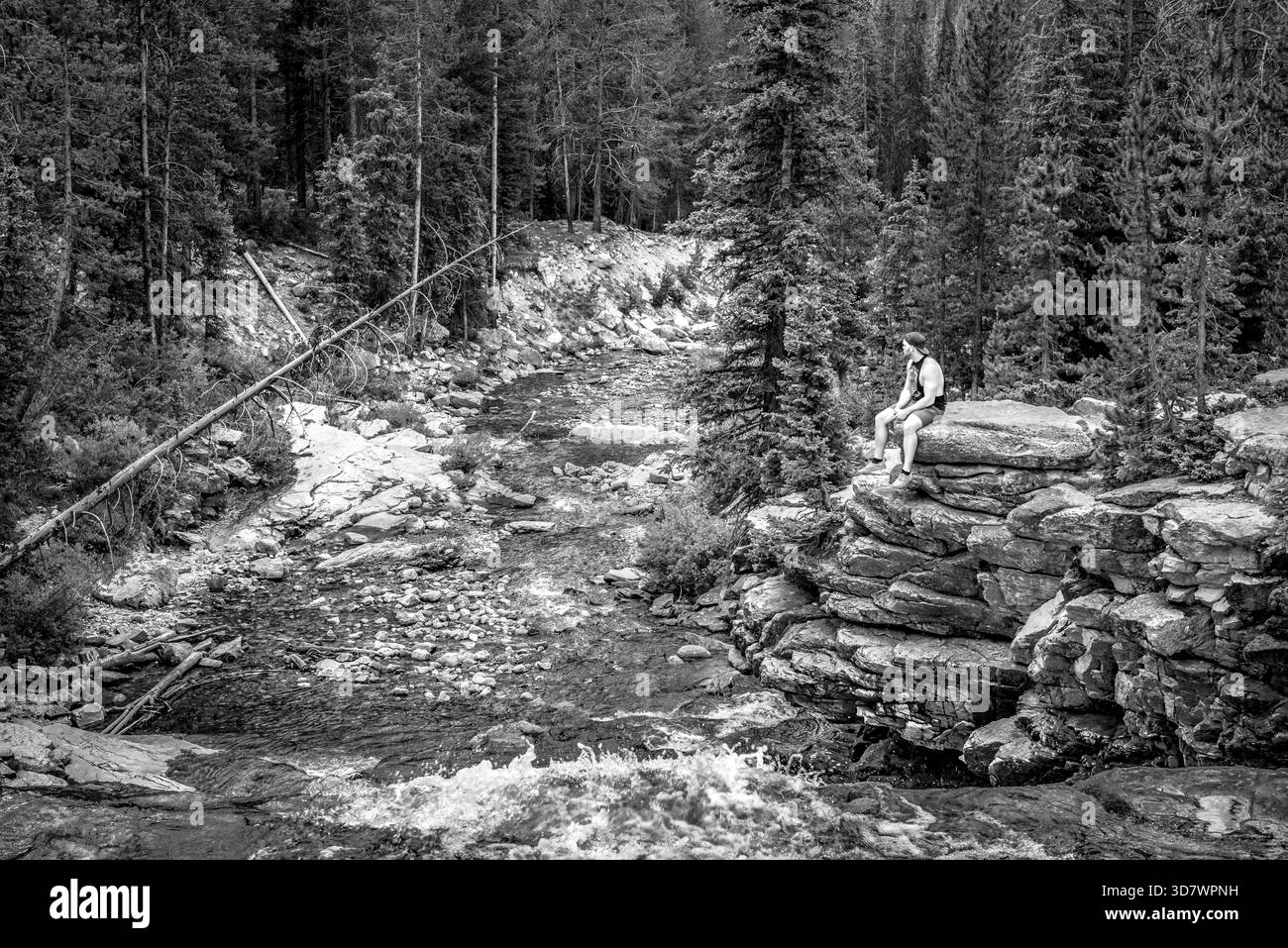 Photographie en noir et blanc d'un randonneur assis sur une formation rocheuse en couches à côté d'un ruisseau de montagne dans la forêt Banque D'Images