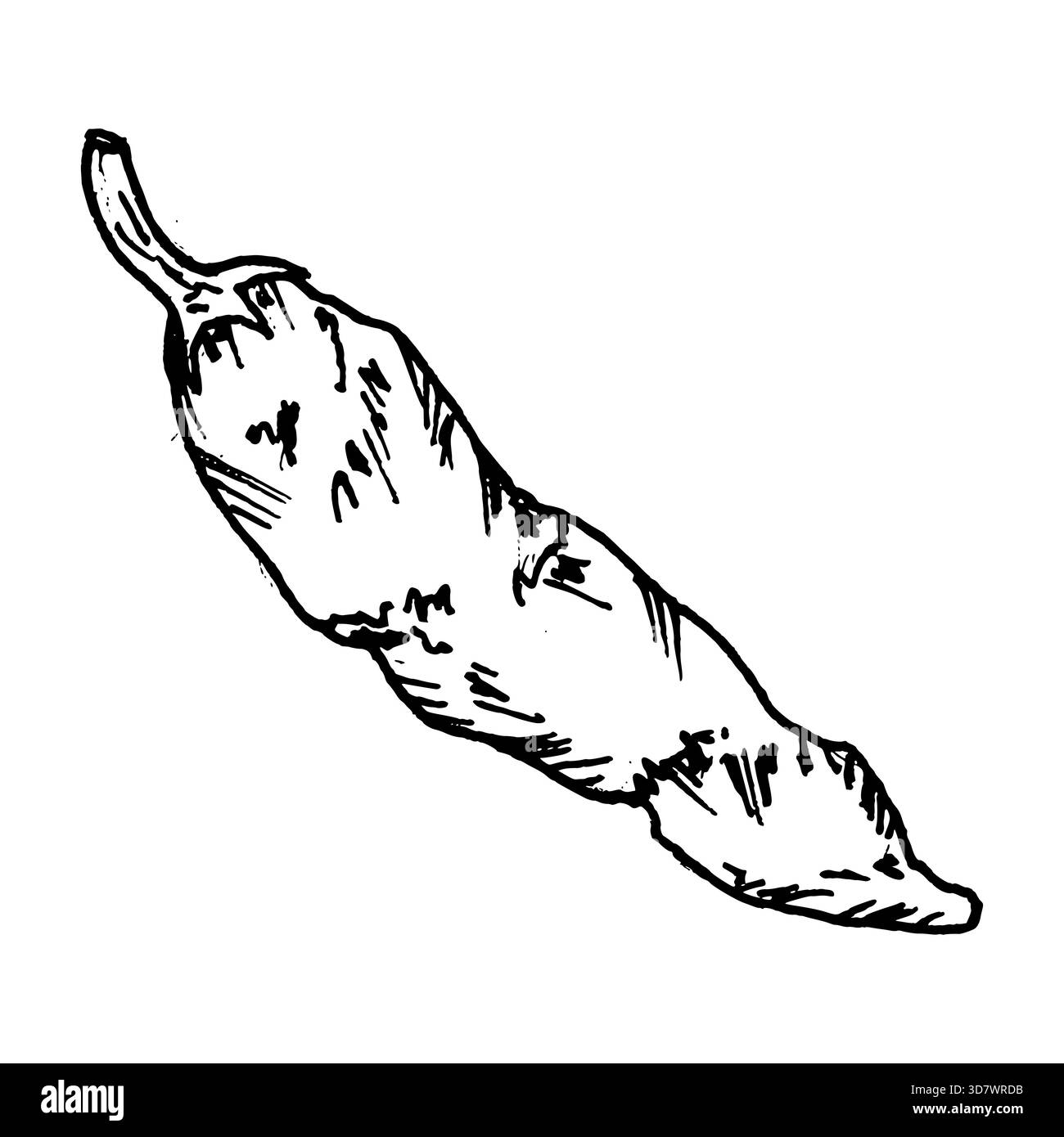 Illustration vectorielle en noir et blanc d'une gousse de piment fort avec forme courbe et surface texturée. Travail de ligne propre adapté aux ensembles d'ingrédients, légumes Illustration de Vecteur