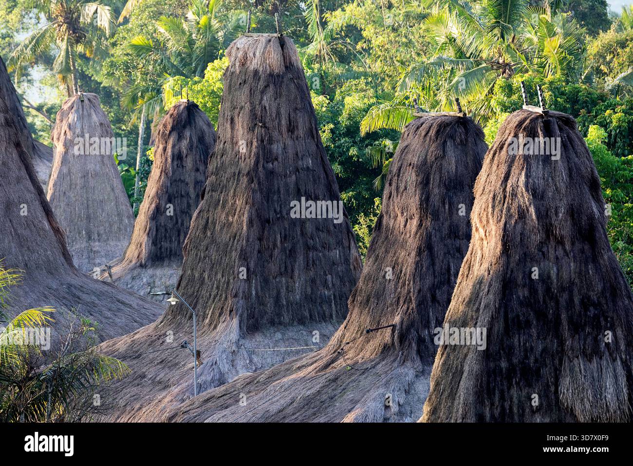Vue rapprochée des toits hauts en chaume uniques des maisons traditionnelles du clan Uma dans le village historique de Praijing sur l'île de Sumba, Indonésie. Banque D'Images