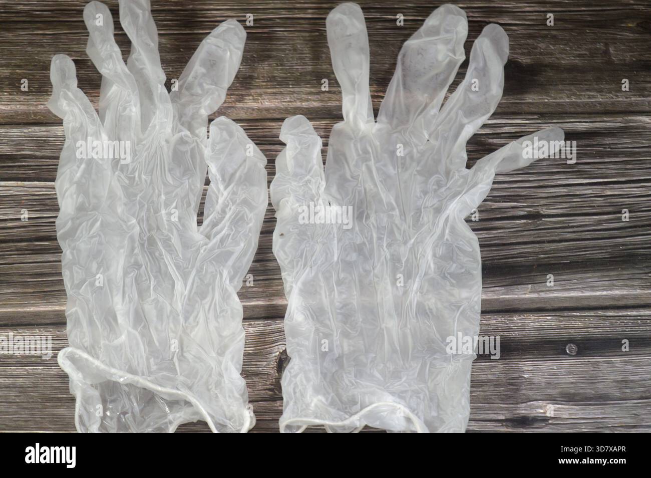 Gants en vinyle, un type de gant synthétique jetable fabriqué à partir de chlorure de polyvinyle (PVC) qui fournit une barrière économique pour les tâches légères, le Banque D'Images