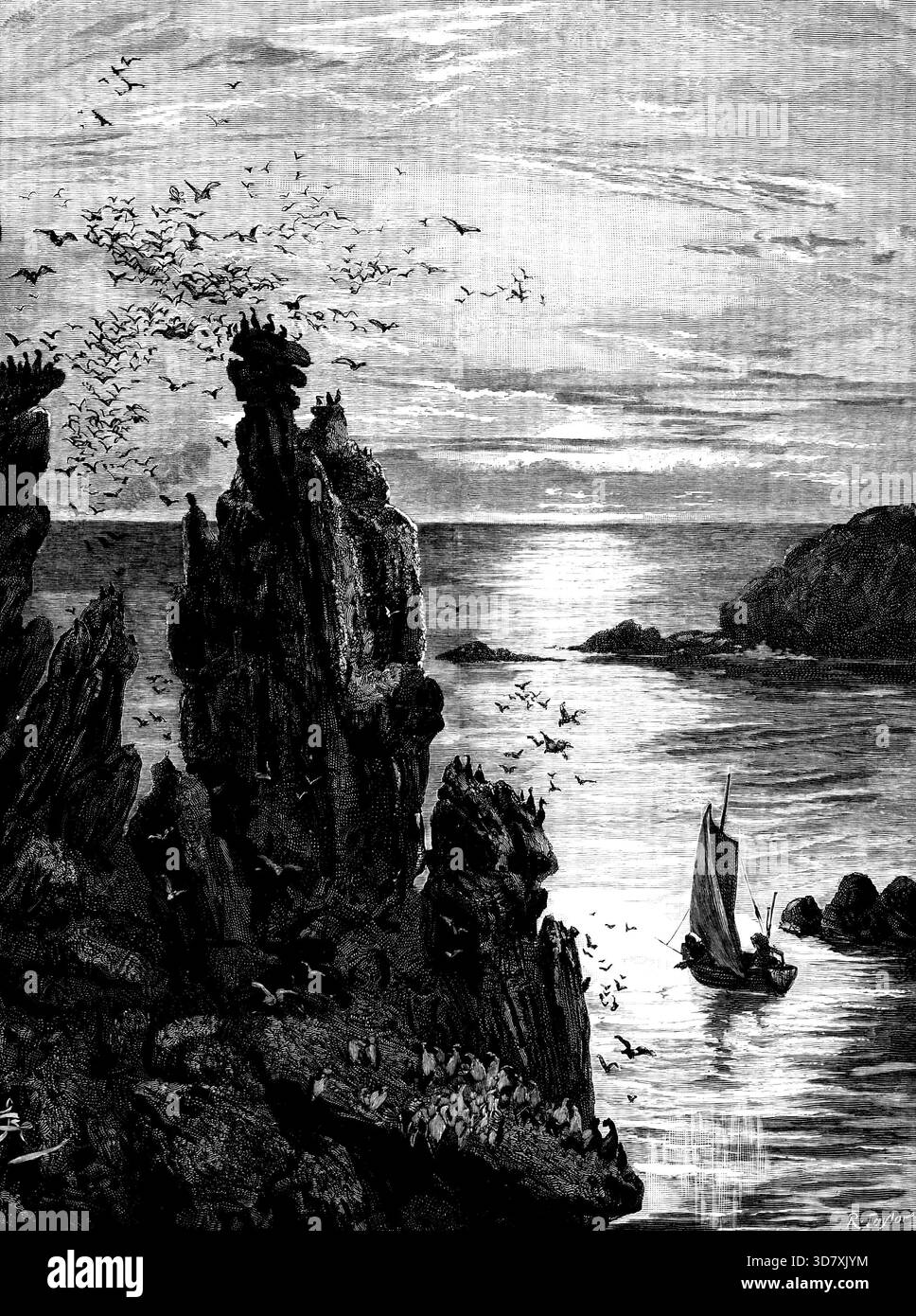 Là, dans la lumière mourante, les macareux ont nagé et plongé, et les mouettes ont crié alors qu'ils volaient au-dessus de leur tête, 1890. Illustration de "Armorel of Lyonesse : a Romance of To-Day", par Walter Besant. Tiré de "Illustrated London News", 1890. Banque D'Images
