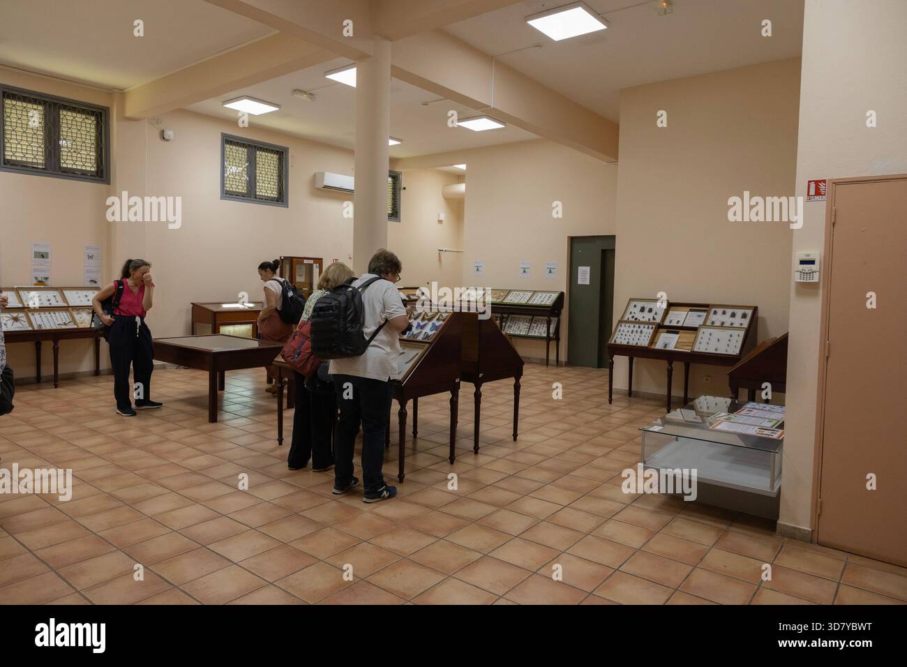 Les visiteurs du musée Franconie, Cayenne, Guyane française, admirent une collection d'insectes trouvés dans ce département de la France sur la côte de l'Amérique du Sud. Banque D'Images