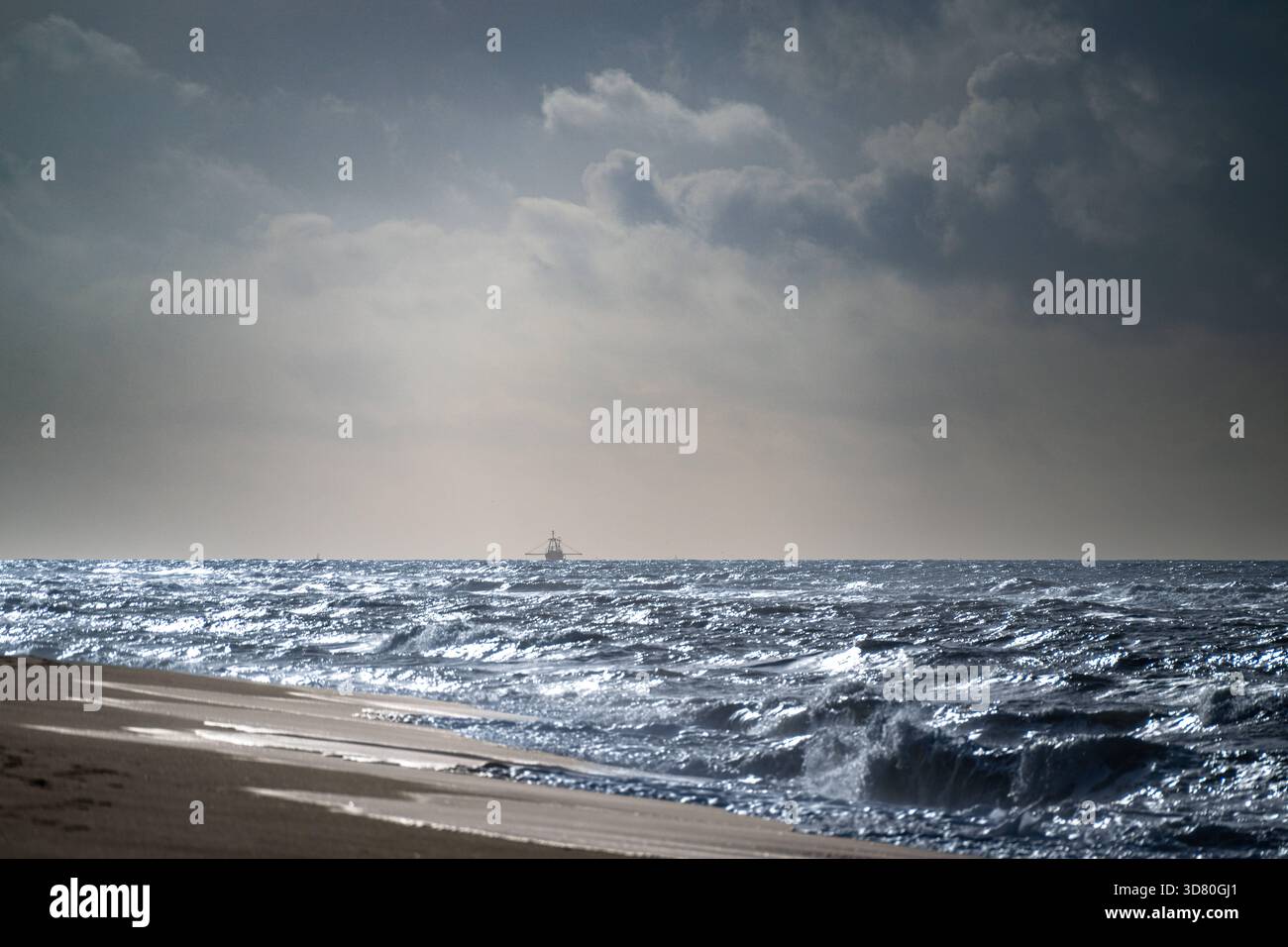 Sylt, Nordsee, Herbst, sonne, vent, - Sylt, Nordsee, Herbst, sonne, vent, Strand, Sandstrand, Wolken Sylt, Deutschland, 30.10.25 : Sylt, Nordsee, Herbst, sonne, Wind, im Sylt am 30.10.2025 auf Sylt, Deutschland. Foto von Axel Kaste Meer im Gegenlicht, sonne, Fischkutter am Horizont Sylt Sylt Schleswig-Holstein Deutschland *** Sylt, mer du Nord, automne, soleil, vent, Sylt, mer du Nord, automne, soleil, vent, plage, plage de sable, nuages Sylt, Allemagne, 30 10 25 Sylt, mer du Nord, automne, soleil, vent, a Sylt le 30 10 2025 sur Sylt, Allemagne photo par Axel Kaste mer contre la lumière, soleil, coupe-pêche à l'horizon Syl Banque D'Images