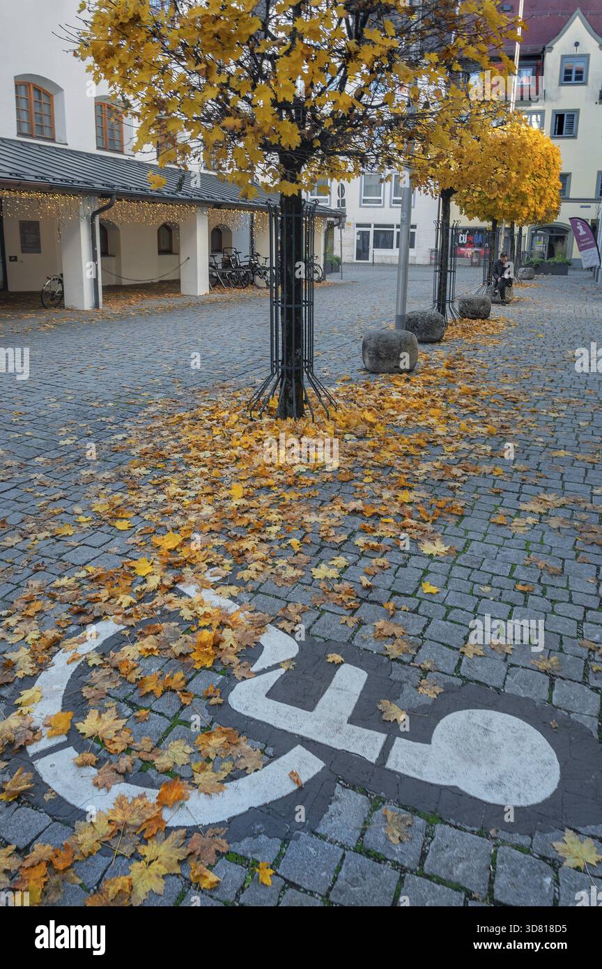 Symbole pour le stationnement en fauteuil roulant, les lumières de Noël et les érables d'automne taillés sphériques (Acer), Am Rathausplatz, Kempten, Allgaeu, Bavière, Allemagne Banque D'Images