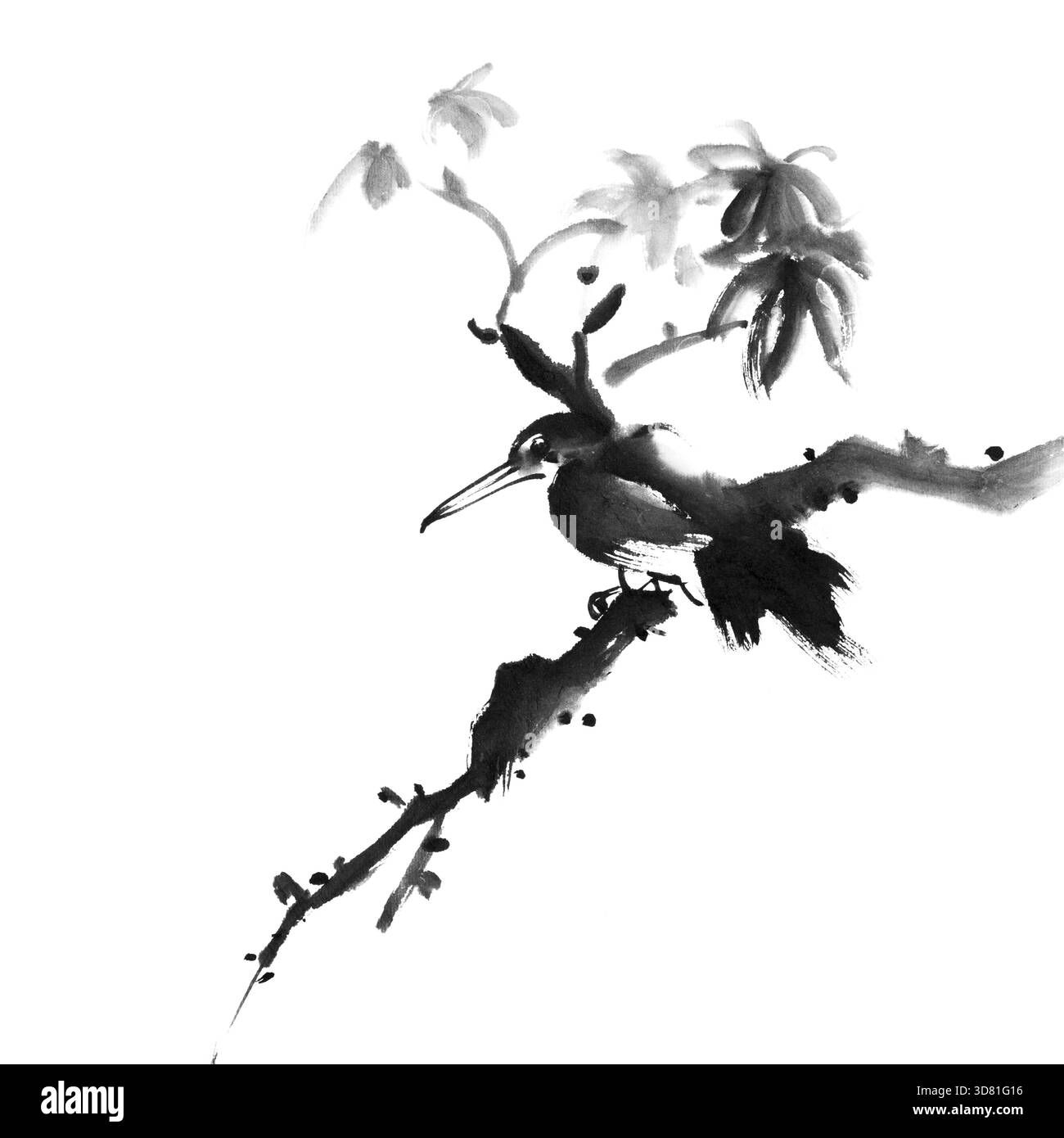 Oiseau de peinture à l'encre traditionnelle chinoise sur fond blanc Banque D'Images