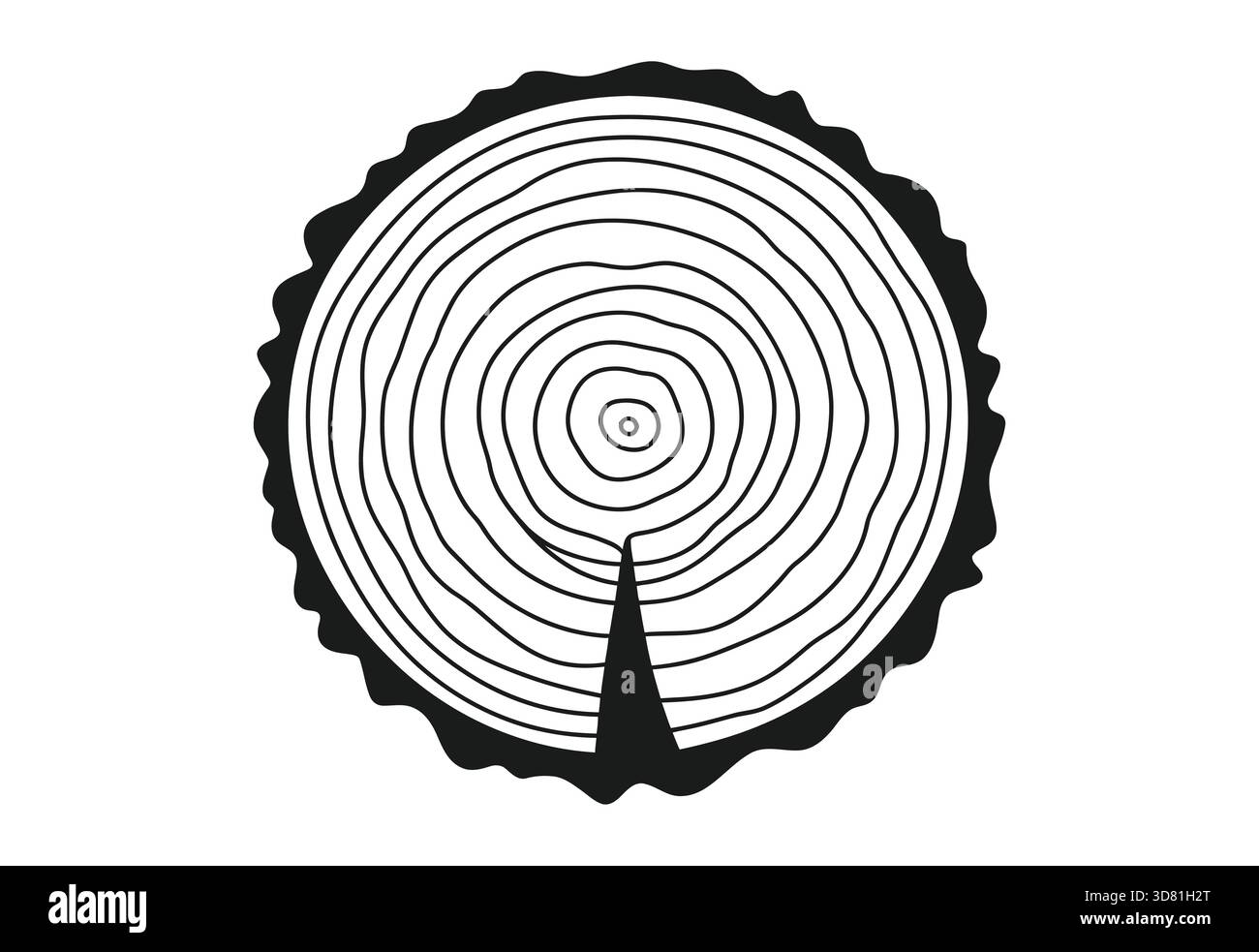 Illustration en noir et blanc d'une coupe transversale d'anneau d'arbre Illustration de Vecteur