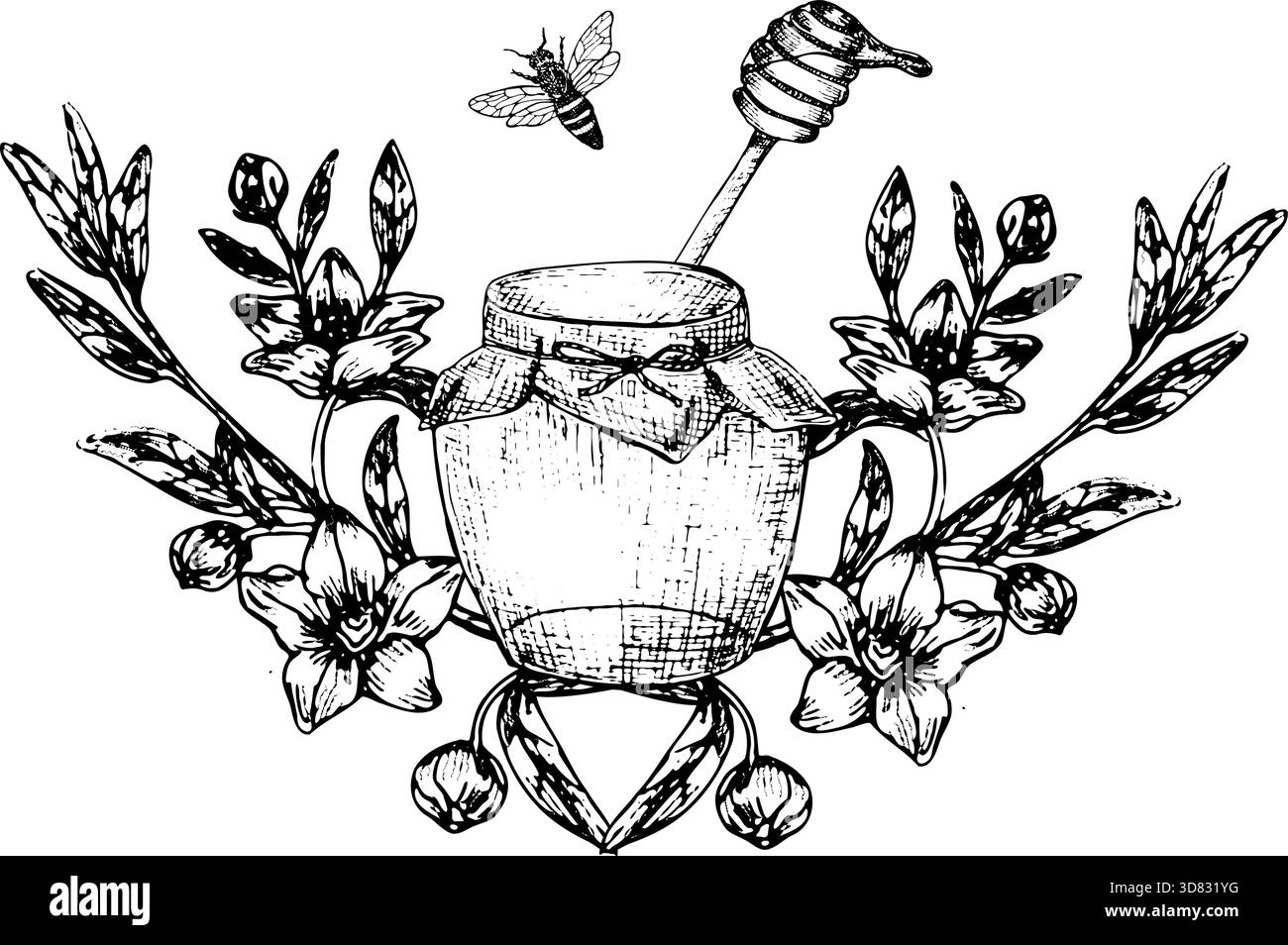 Illustration de croquis de miel de Manuka pour étiquette ou logo. Fleurs manuka dessinées à la main avec pot de miel et cuillère, abeille dans le style linéaire vintage. Fond de miel Illustration de Vecteur