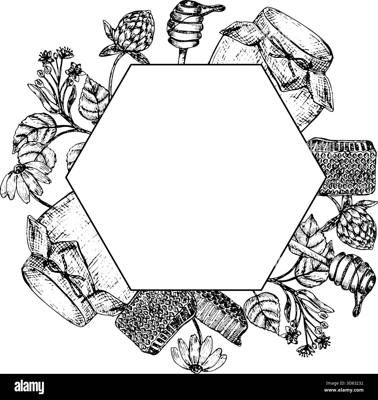 Modèle d'étiquette de pot de miel dessiné à la main avec des illustrations d'abeilles vintage. Conception apicole biologique avec nid d'abeilles, fleurs et éléments alimentaires naturels Illustration de Vecteur