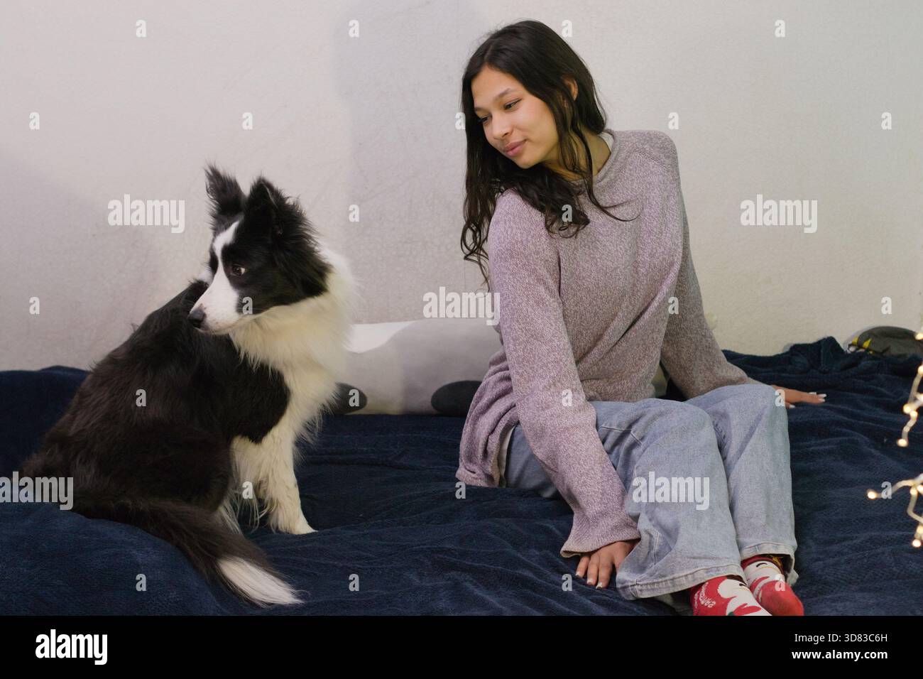 Femme assise sur un lit, portant des vêtements confortables, regardant son chien noir et blanc qui est également sur le lit. Idéal pour les moments calmes d'animaux de compagnie ou rel à la maison Banque D'Images