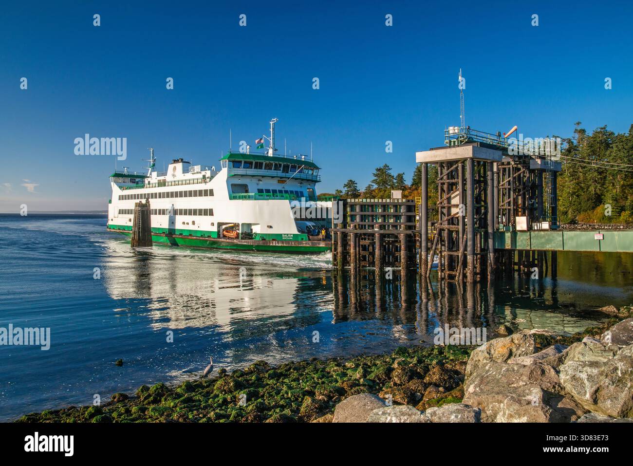 Ferry MV Salish en provenance de Port Townsend, arrivant au terminal de ferry Keystone près de Coupeville, Whidbey Island, État de Washington, États-Unis Banque D'Images