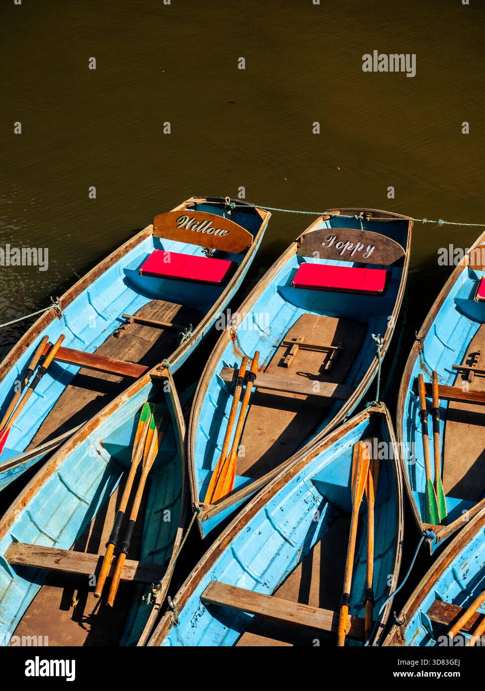 Bateaux à rames, River Cherwell, Oxford, Oxfordshire, Royaume-Uni. Banque D'Images