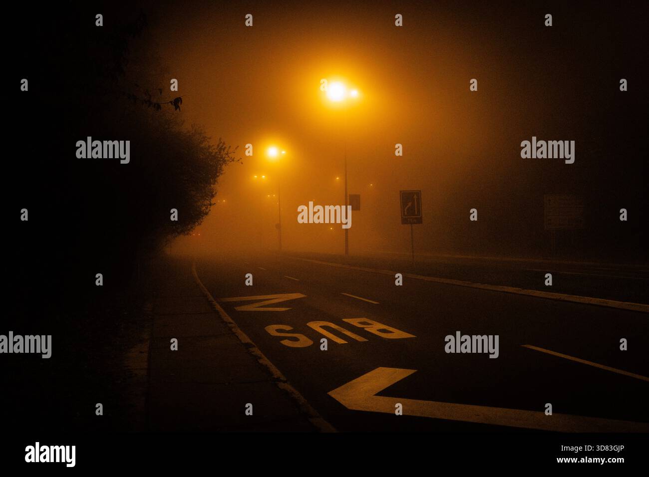 ville â€‹ â€‹ route dans le brouillard la nuit Banque D'Images