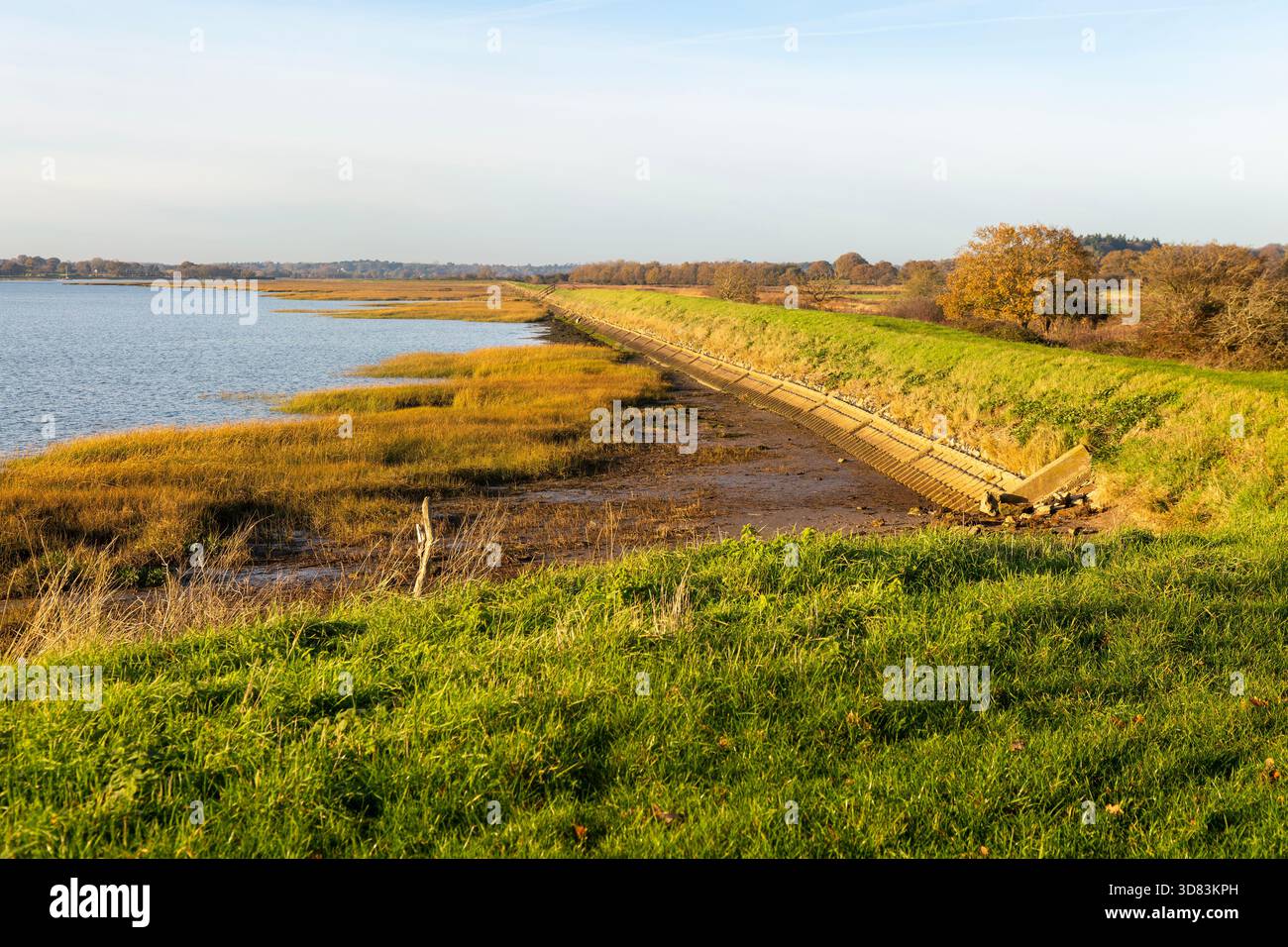 Mur de défense contre les inondations de la rive de terrassement de la rivière Deben, Sutton, Suffolk, Angleterre, Royaume-Uni Banque D'Images