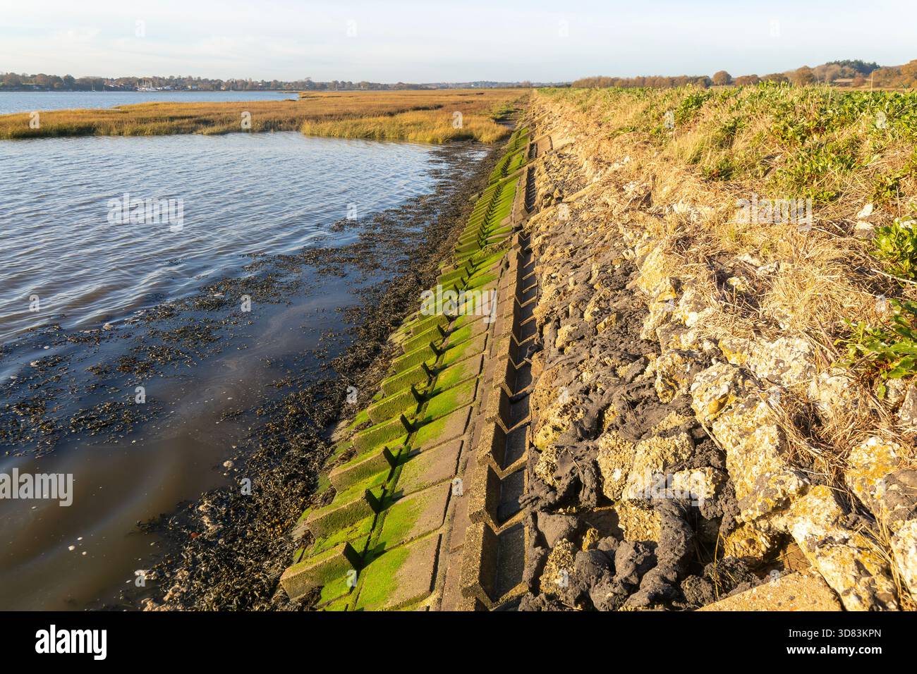 Mur de défense contre les inondations de la rive de terrassement de la rivière Deben, Sutton, Suffolk, Angleterre, Royaume-Uni Banque D'Images