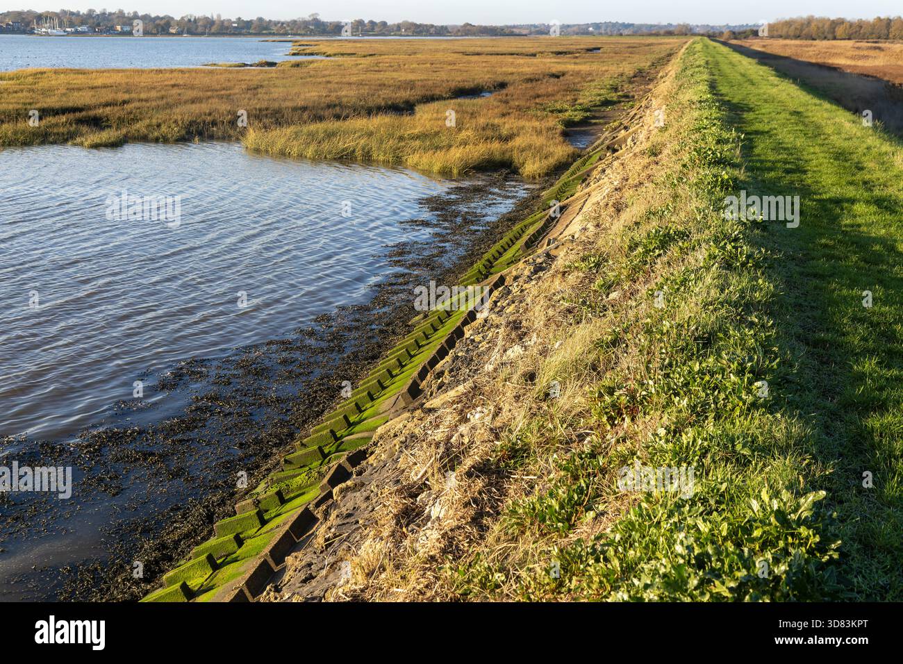 Mur de défense contre les inondations de la rive de terrassement de la rivière Deben, Sutton, Suffolk, Angleterre, Royaume-Uni Banque D'Images