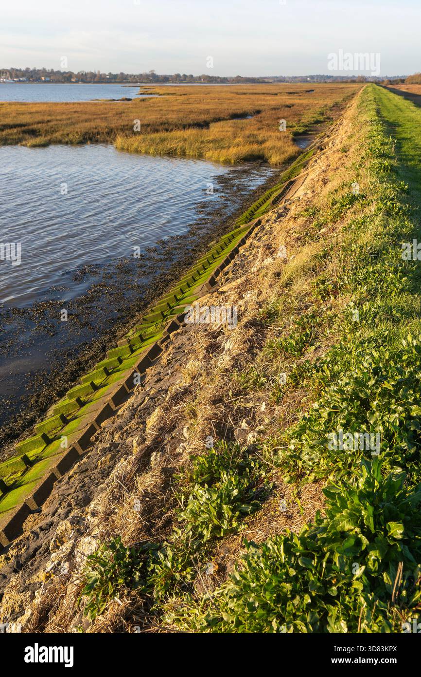 Mur de défense contre les inondations de la rive de terrassement de la rivière Deben, Sutton, Suffolk, Angleterre, Royaume-Uni Banque D'Images