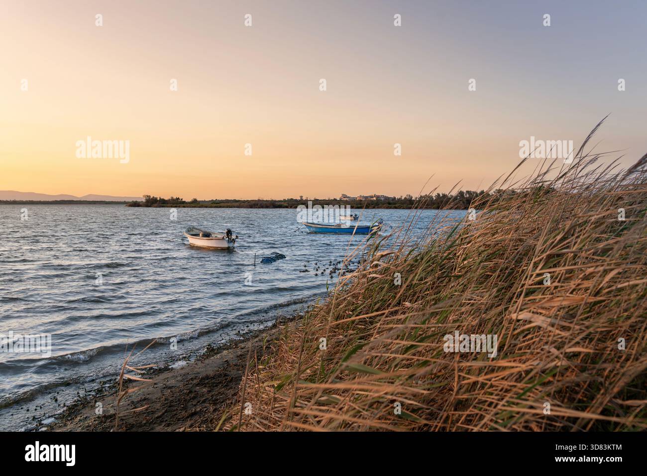 Trois petits bateaux de pêche ancrés près d'un rivage herbeux au coucher du soleil sur un lac ou un lagon calme, montagnes en arrière-plan Banque D'Images