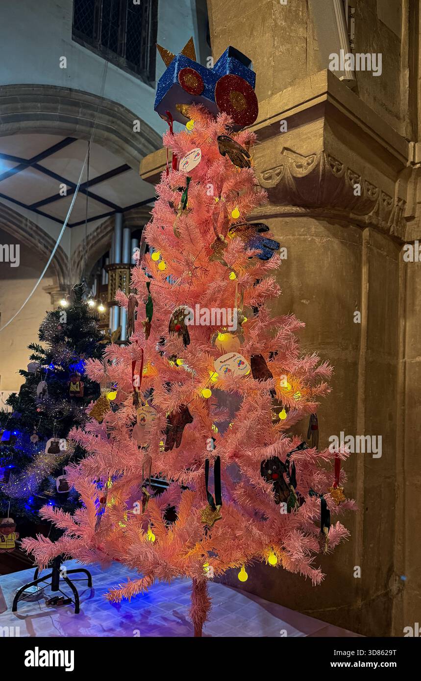 Sapin de Noël artificiel rose décoré avec lumières et ornements exposés lors du festival de l'arbre de Noël de l'église St Mary's Calne - Image de stock capturée avec un smartphone