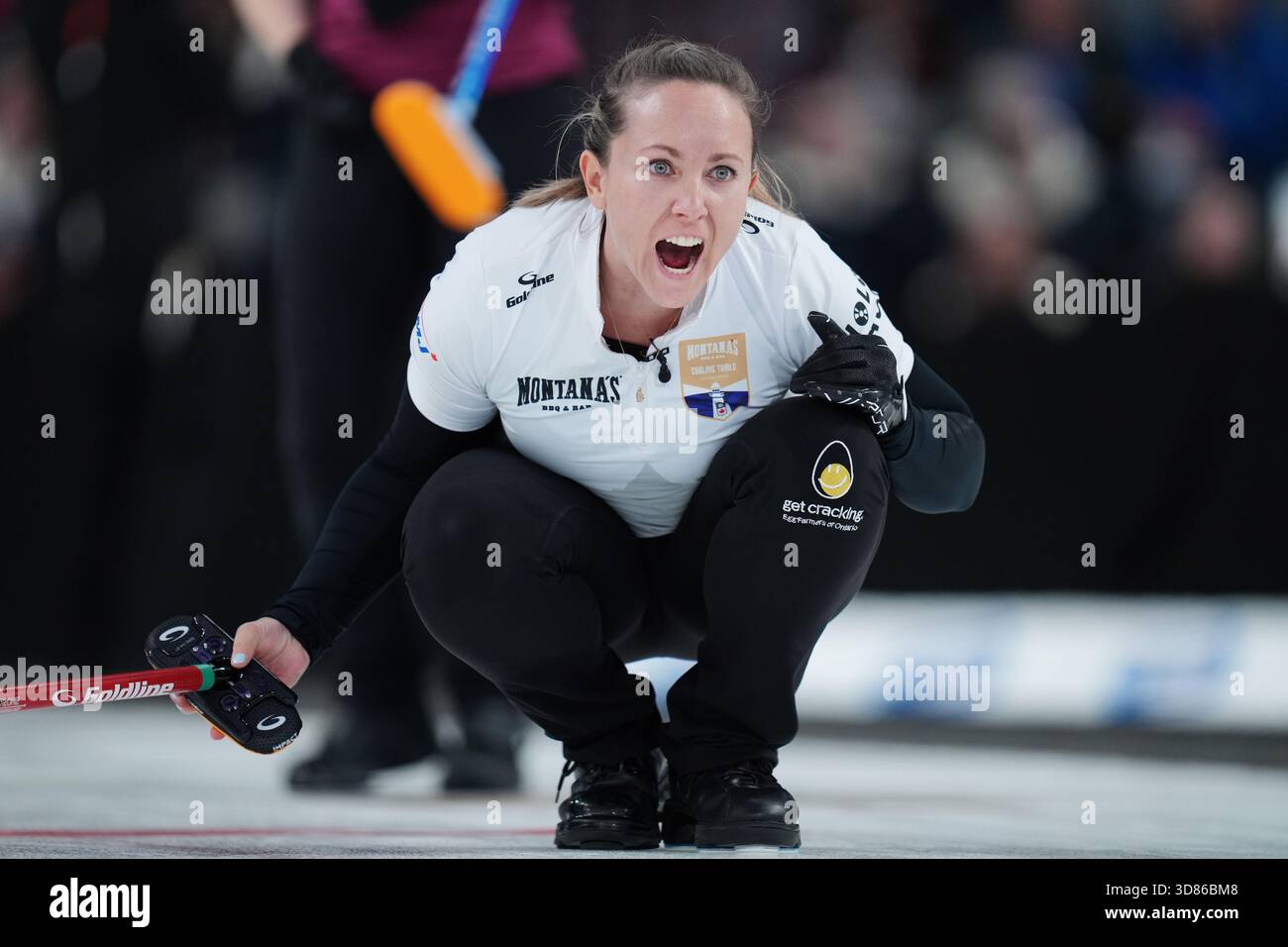 Halifax, Canada. 28 novembre 2025. Skip Rachel Homan crie des instructions à ses coéquipiers après avoir livré un rock pendant le match 1 de la finale des essais canadiens de curling du Montana contre Team Black à Halifax le 28 novembre 2025. Crédit : la presse canadienne/Alamy Live News Banque D'Images