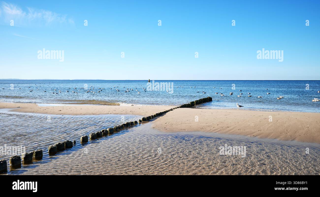 Photo de la plage de Miedzyzdroje, Pologne. Banque D'Images