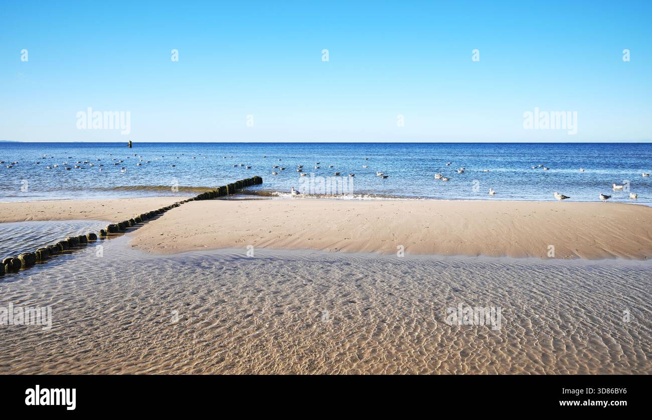 Photo de la plage de Miedzyzdroje, Pologne. Banque D'Images