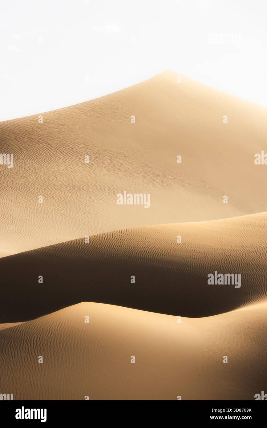 Vue sur les dunes dorées s'étirent sous un ciel lumineux, projetant de longues ombres et créant un paysage désertique serein, Bateen Liwa, Abu Dhabi, Émir arabe Uni Banque D'Images