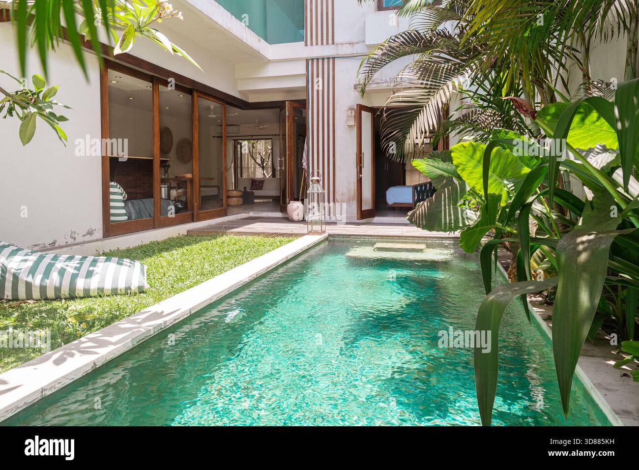 Une piscine avec une eau verte et une plante verte luxuriante en arrière-plan. Banque D'Images