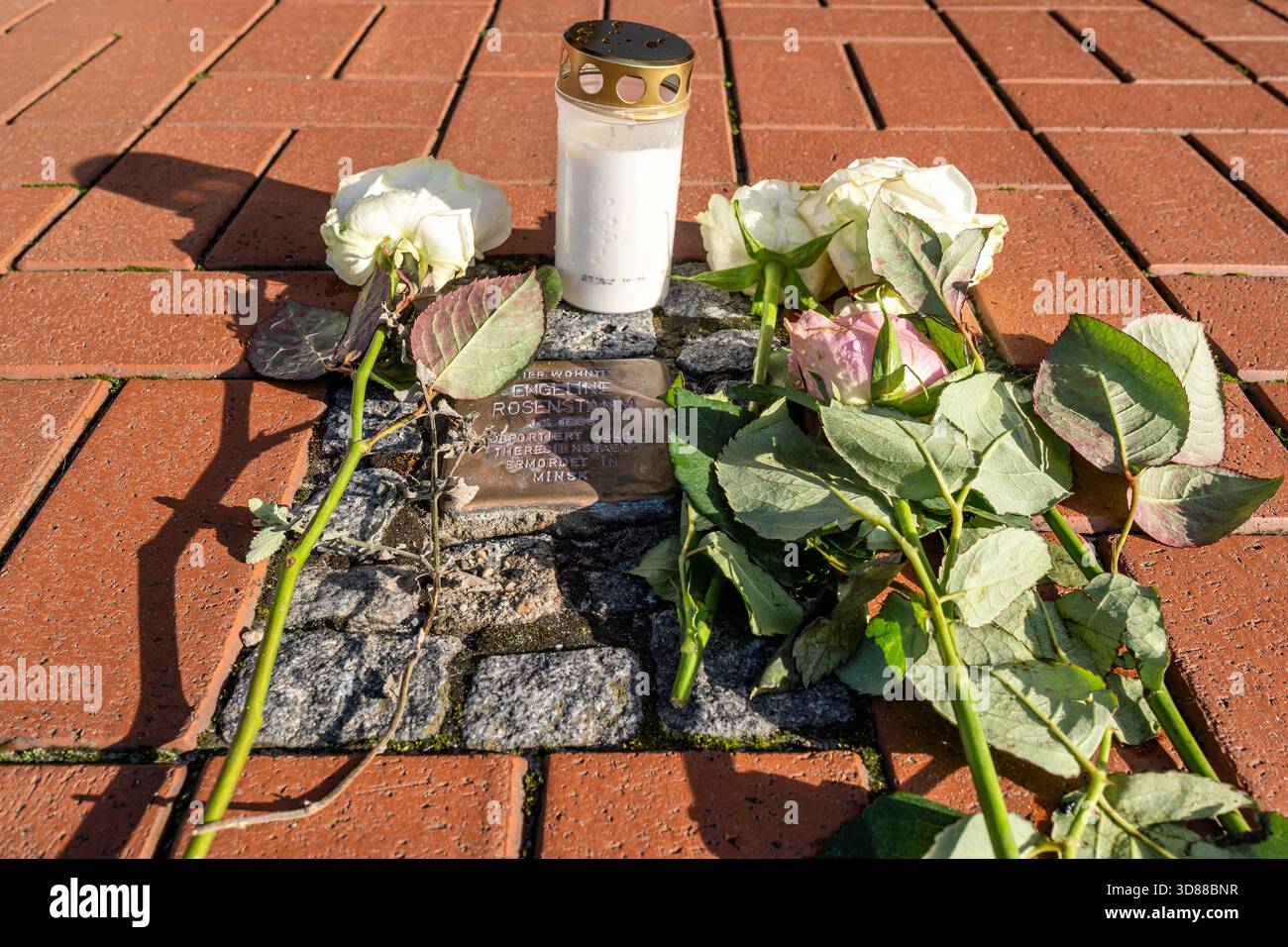 Stolperstein (mémorial pavé pour une victime du nazisme) Banque D'Images