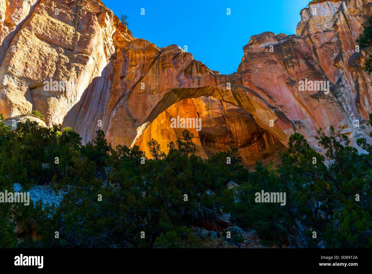 La Ventana Natural Arch a été créée en grès Jurassic Zuni il y a environ 160 milion ans. La région d'El Malpais est une terre de merveilles volcaniques. National Con Banque D'Images
