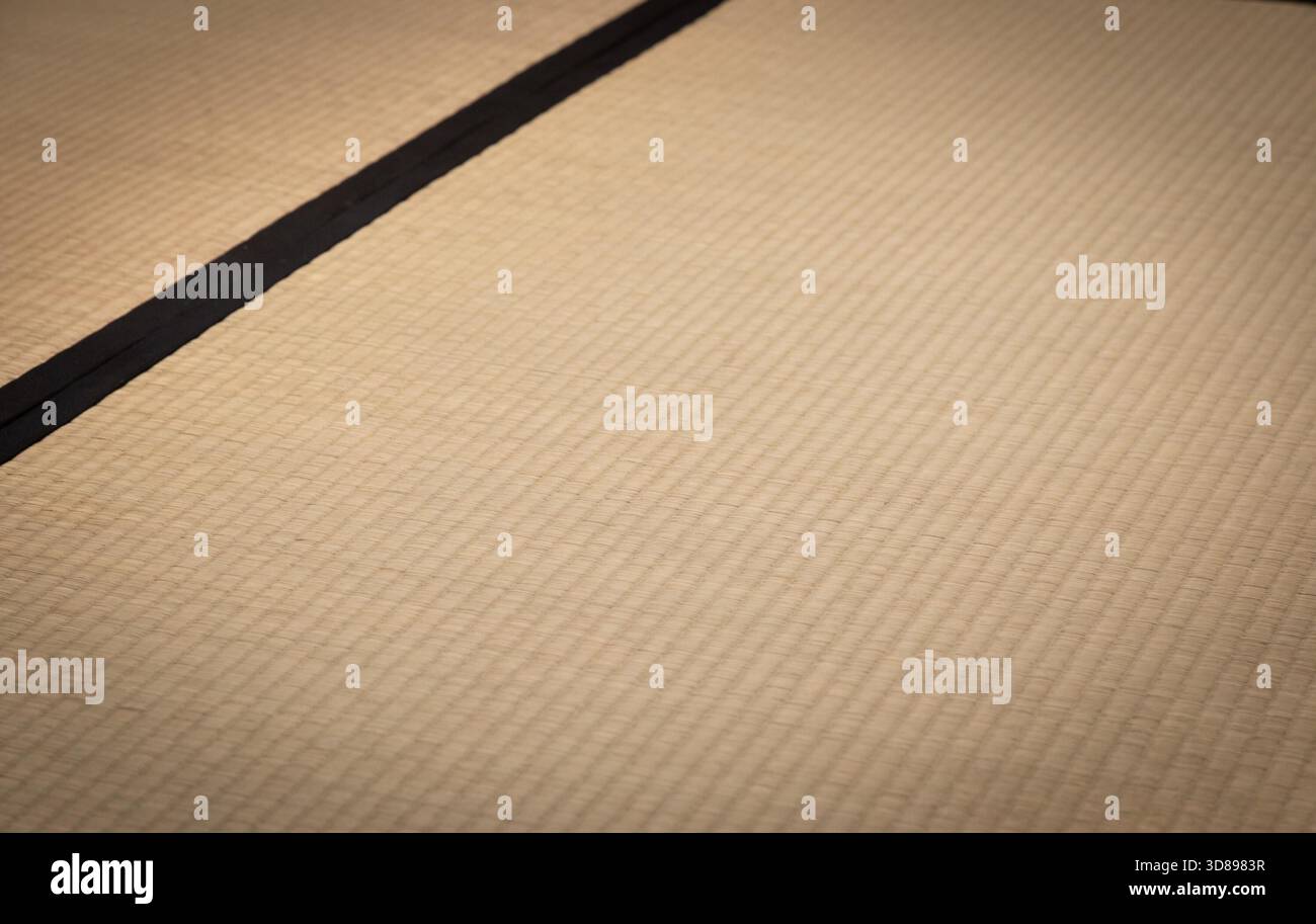 Fond de tatami - tapis japonais original, design vintage, culture zen traditionnelle Banque D'Images