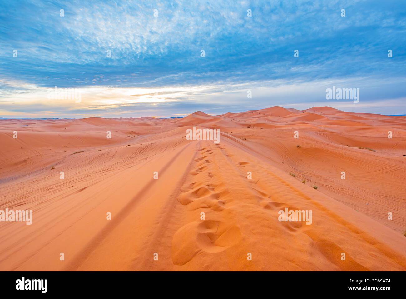 Paysage du désert du Sahara, Maroc Banque D'Images