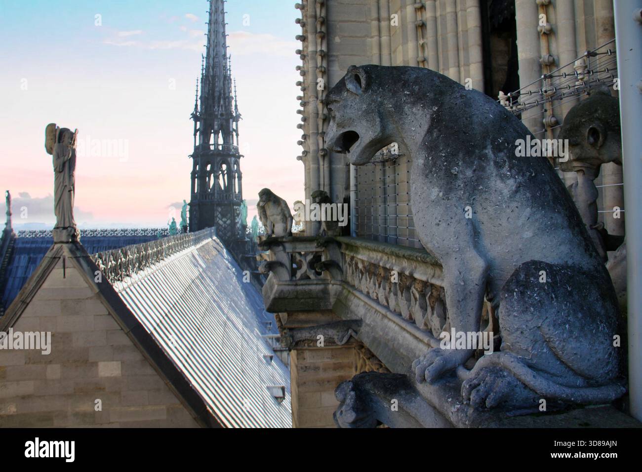 Grande gargouille chimère assise sur la balustrade de notre Dame avec Spire Banque D'Images
