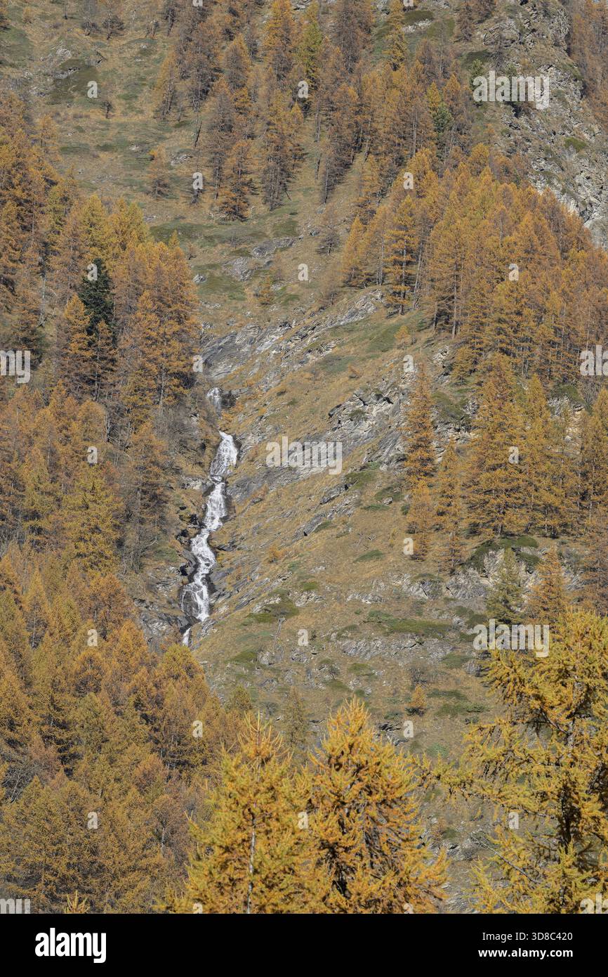 Une petite cascade descend en cascade une colline rocheuse entourée d'arbres d'automne, en Italie Banque D'Images