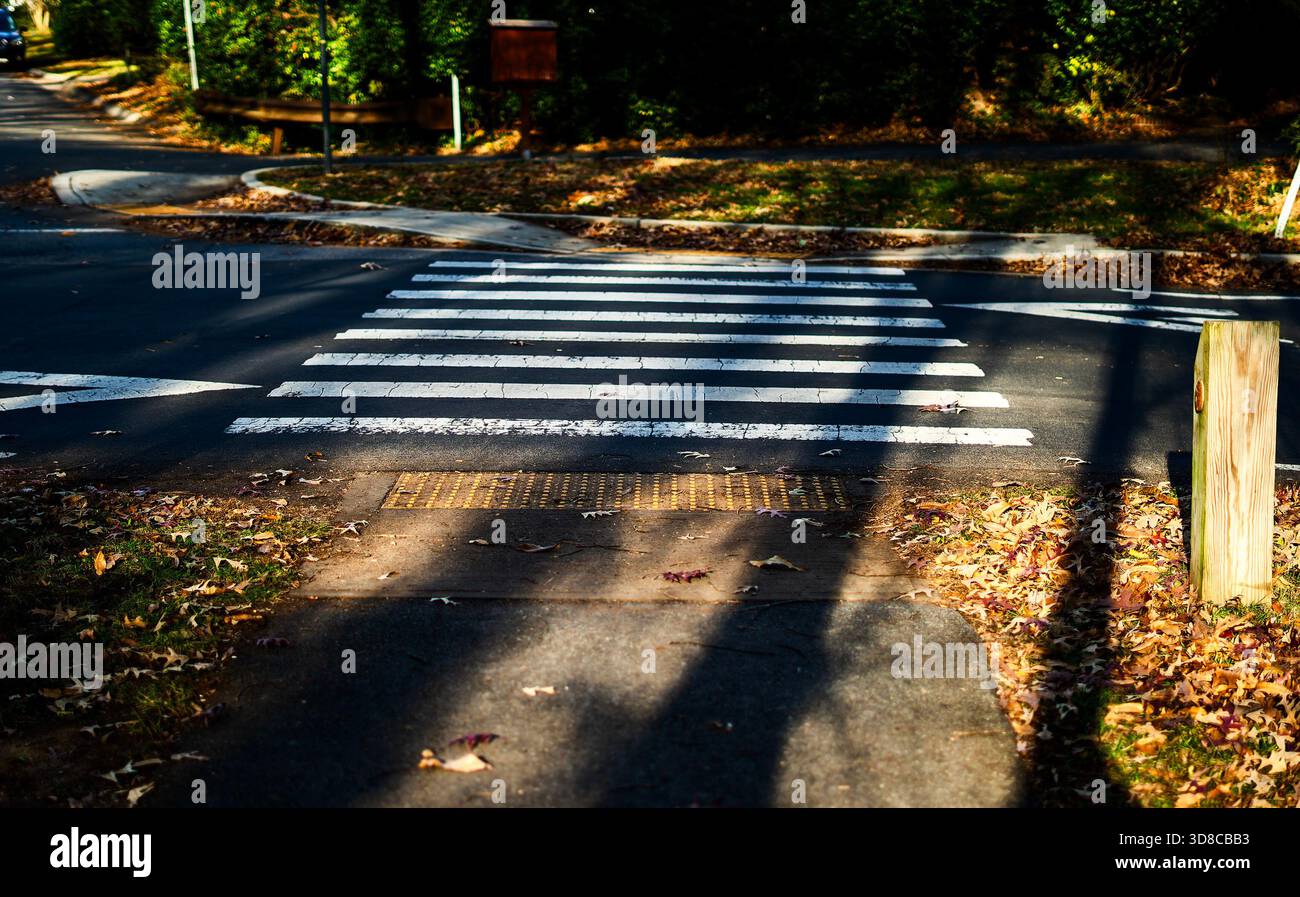 Passage à pied dans la lumière de la fin de l'après-midi Banque D'Images