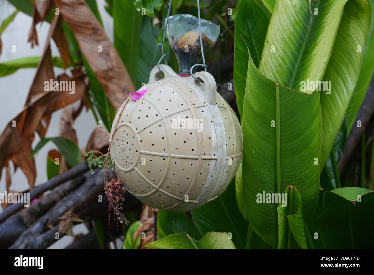 Un nichoir fantaisiste suspendu dans un jardin animé, offrant un refuge sûr pour les oiseaux. Parfait pour promouvoir la nature et ajouter du charme aux espaces extérieurs. Banque D'Images