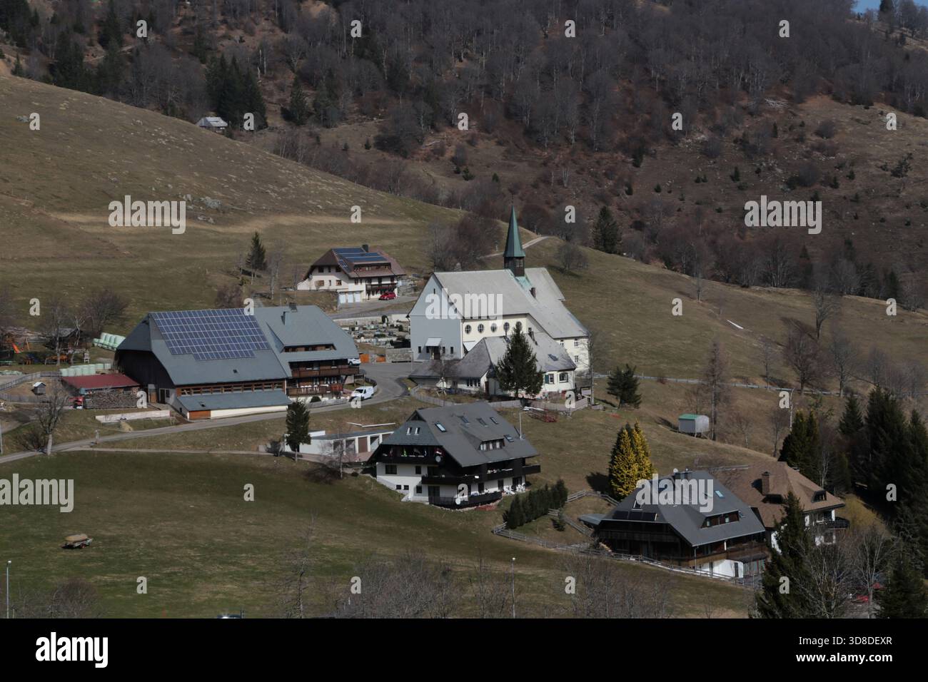 Paysage hivernal sans neige dans la Forêt Noire près de Hofsgrund, Allemagne Banque D'Images