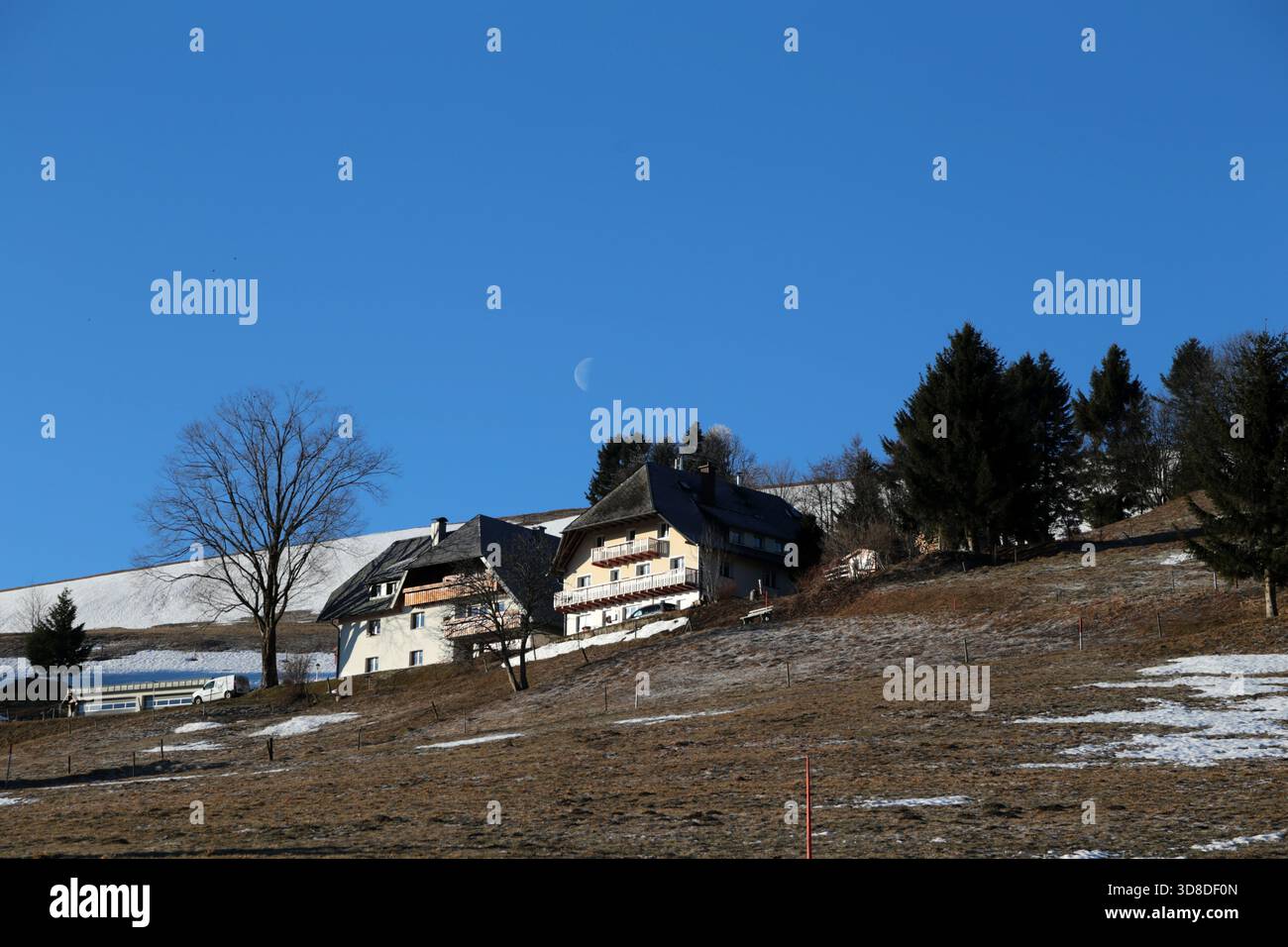 Paysage hivernal sans neige dans la Forêt Noire près de Hofsgrund, Allemagne Banque D'Images