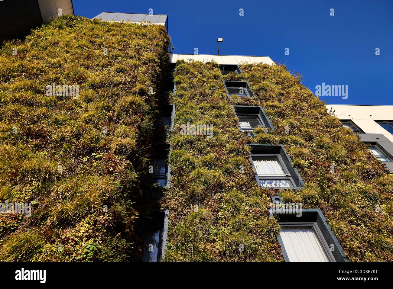 Stockport Living Wall sur les appartements Mailbox l'ancien immeuble de bureaux de tri Royal mail Banque D'Images