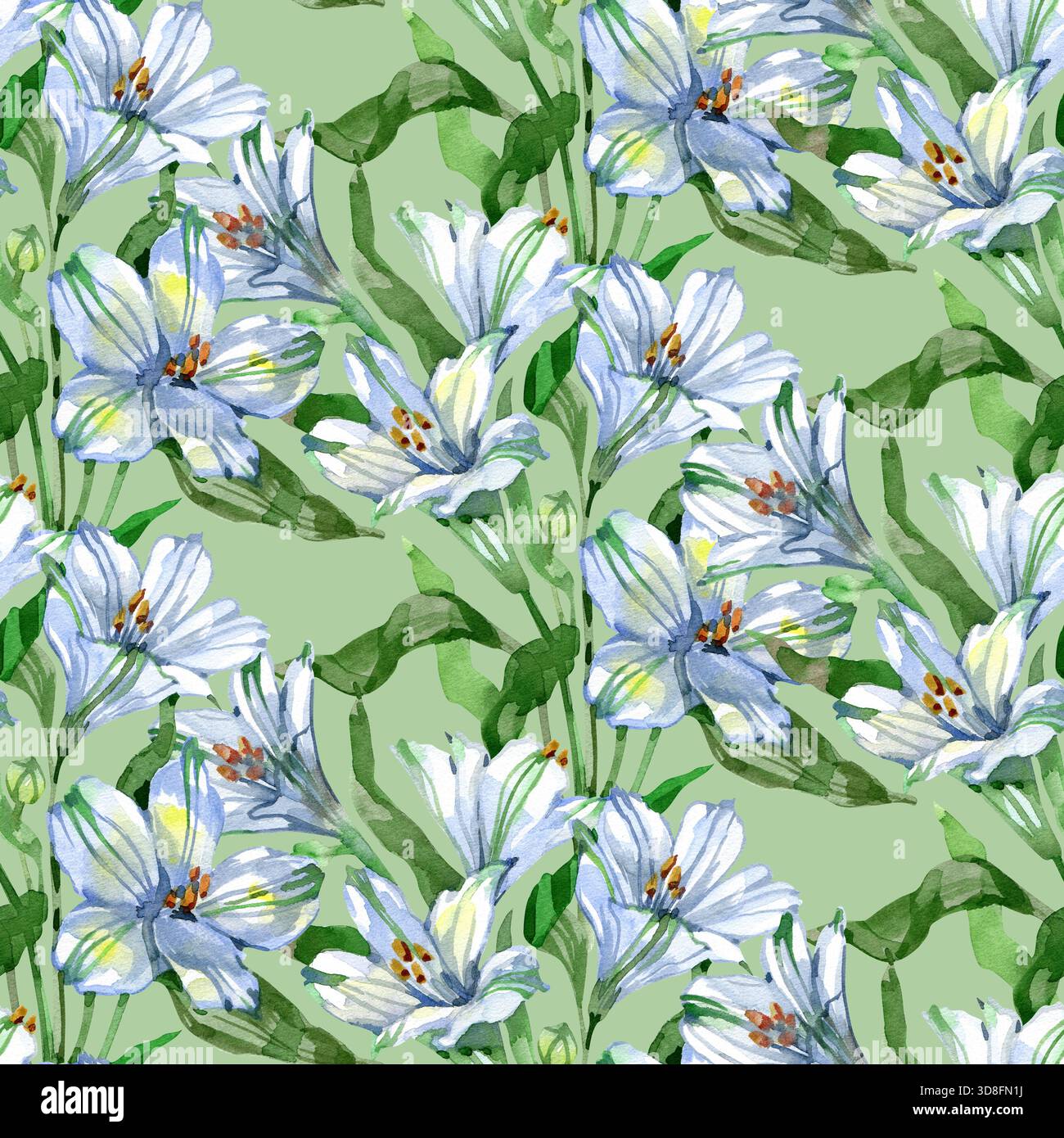 Motif aquarelle sans couture avec d'élégantes fleurs d'alstroemeria blanches et bleues et des feuilles vertes fraîches. Un design botanique délicat parfait pour les textiles Banque D'Images